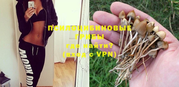 мет Корсаков