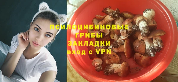 мяу мяу мука Коряжма