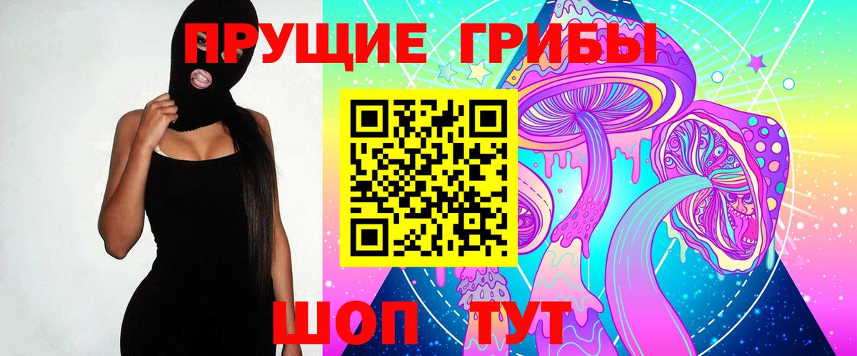 хочу наркоту  Галлюциногенные грибы Psilocybe  Кызыл  Вход с VPN  Галлюциногенные грибы мухоморы 